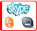skype lesson